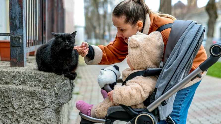 Фото иллюстрационное: ТАСС