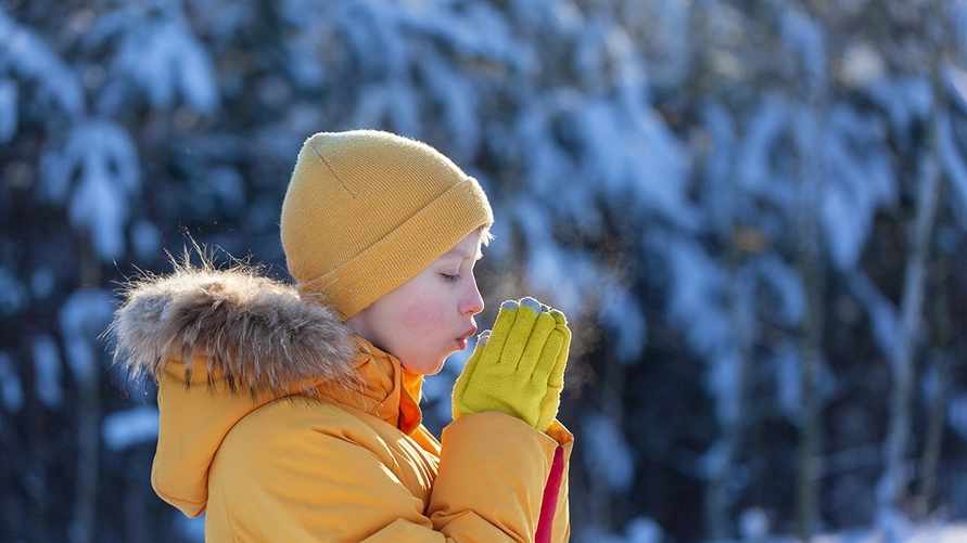 Фото иллюстрационное
