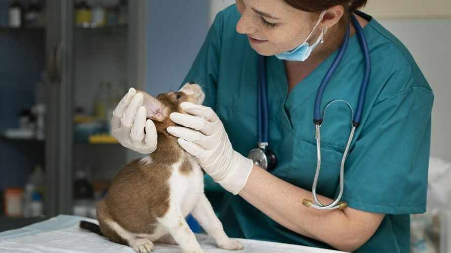 Фото иллюстрационное