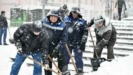 В Гомеле объявили всеобщий субботник. Обязательный ли и будут ли собирать деньги?