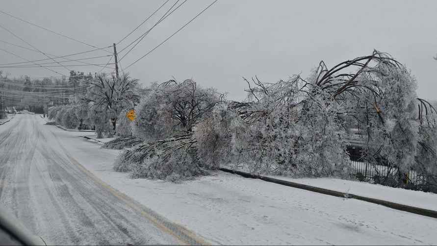 Ущерб от ледяного шторма в США, оставившего без света миллион человек, оценили в 115 млрд долларов