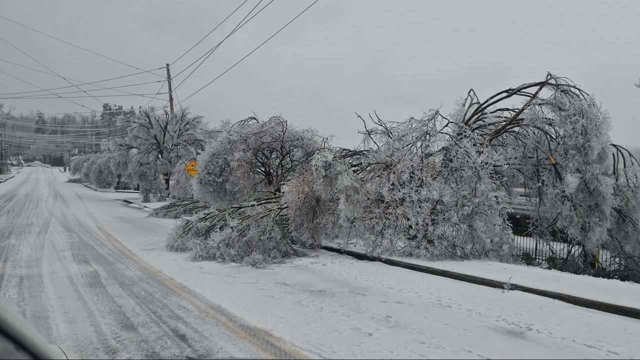 Ущерб от ледяного шторма в США, оставившего без света миллион человек, оценили в 115 млрд долларов