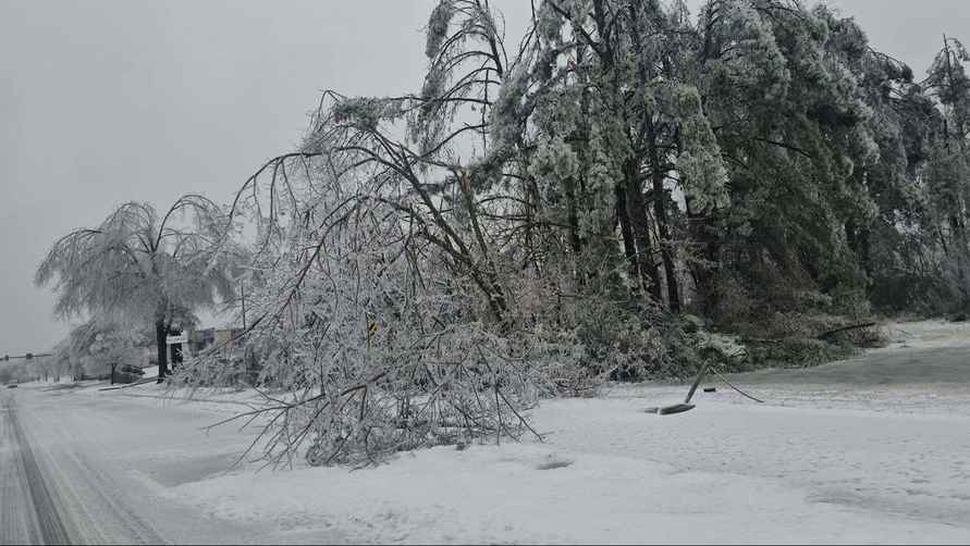Ущерб от ледяного шторма в США, оставившего без света миллион человек, оценили в 115 млрд долларов