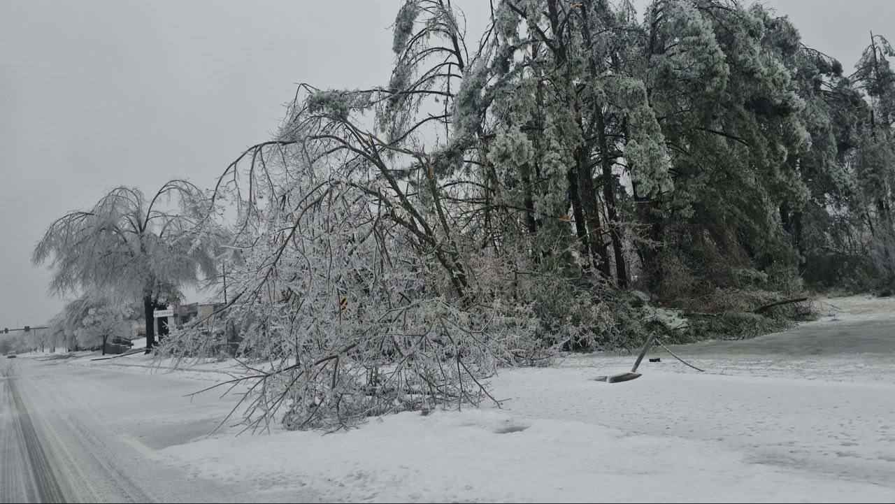 Ущерб от ледяного шторма в США, оставившего без света миллион человек, оценили в 115 млрд долларов
