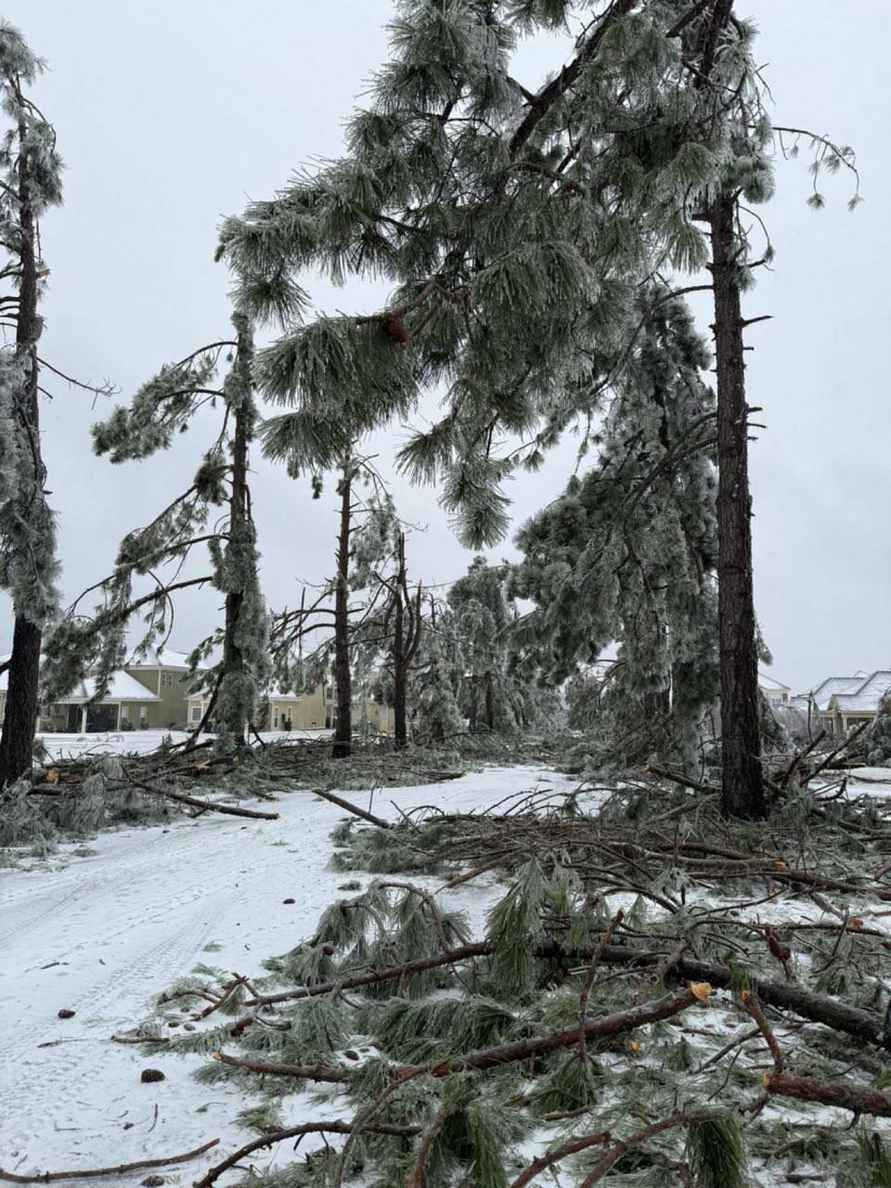 Ущерб от ледяного шторма в США, оставившего без света миллион человек, оценили в 115 млрд долларов