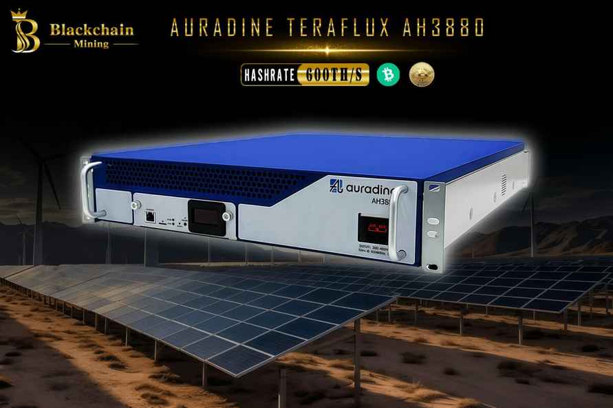 Растет или падает биткоин, пользователи Blackchain Mining ежедневно зарабатывают до 4777 долларов пассивного дохода