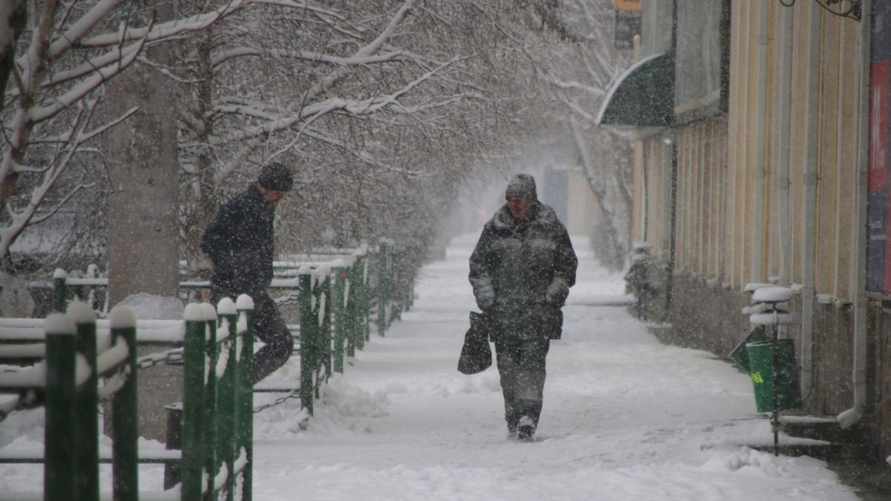 Фото иллюстрационное