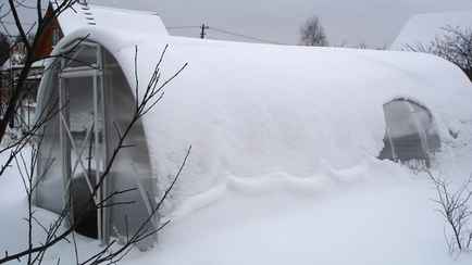 Эти простые манипуляции с теплицей стоит провести всем дачникам — сэкономите на ремонте до 230 BYN
