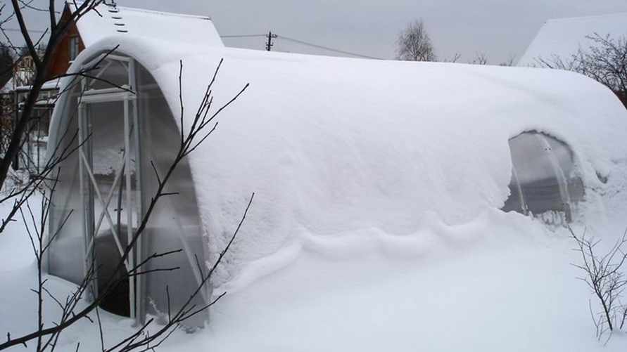 Фото иллюстрационное