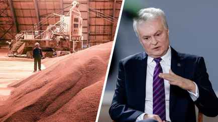 Науседа пообещал мешать транзиту белорусского калия через Литву. Как?