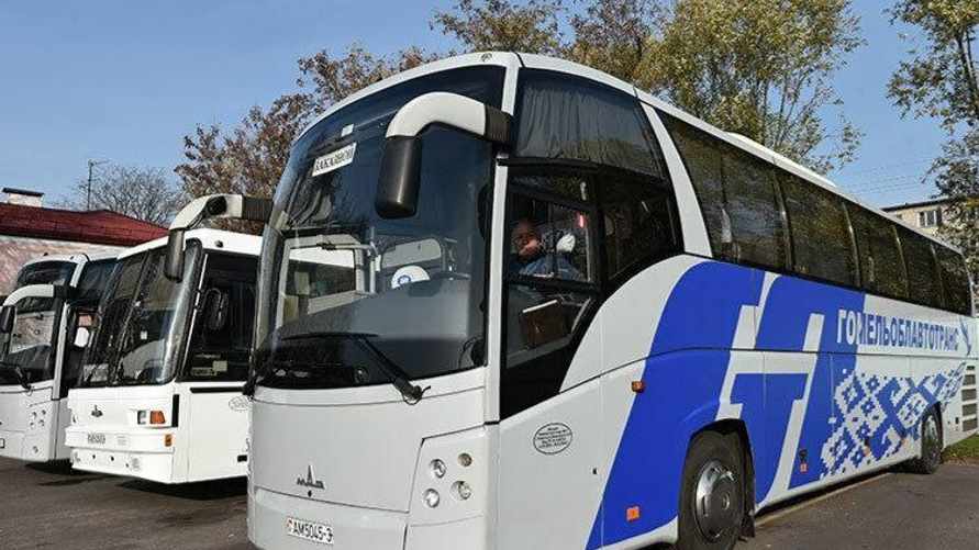 В Гомеле запустили автобусный рейс в Польшу, но через Могилёв