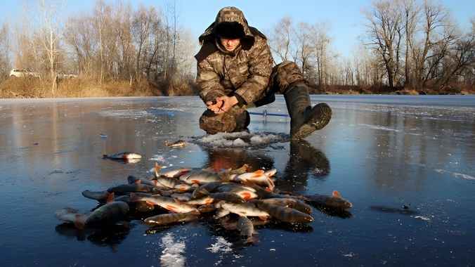 В Беларуси на полтора месяца запретили ловить один вид рыбы под угрозой уголовки