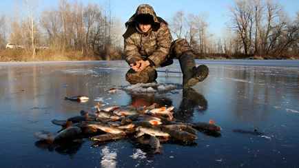 В Беларуси на полтора месяца запретили ловить один вид рыбы под угрозой уголовки