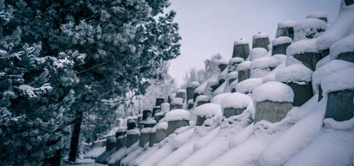 Польша похвалилась новыми укреплениями на границе с Беларусью