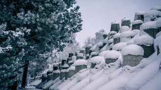 Польша похвалилась новыми укреплениями на границе с Беларусью