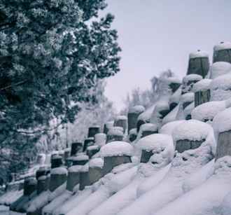 Польша похвалилась новыми укреплениями на границе с Беларусью