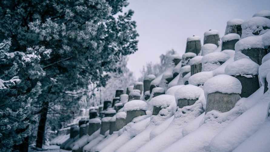 Польша похвалилась новыми укреплениями на границе с Беларусью