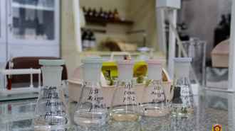 Пили стеклоомыватель? Три белоруса скончались от отравления метиловым спиртом