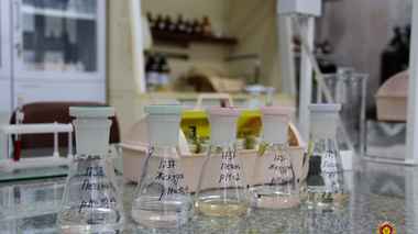 Пили стеклоомыватель? Три белоруса скончались от отравления метиловым спиртом