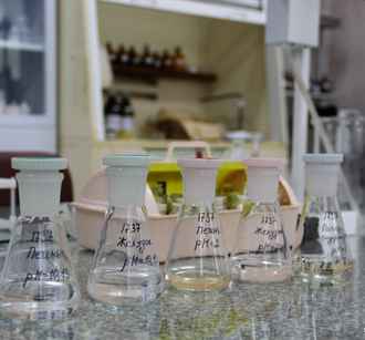 Пили стеклоомыватель? Три белоруса скончались от отравления метиловым спиртом