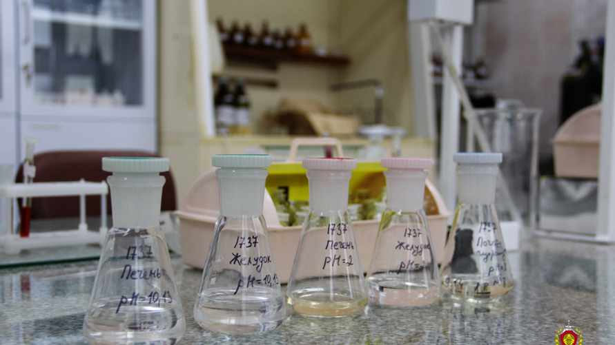 Пили стеклоомыватель? Три белоруса скончались от отравления метиловым спиртом