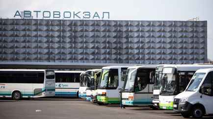 Десятки тысяч россиян устремились в Польшу и Германию. Новые «колбасные туры»?