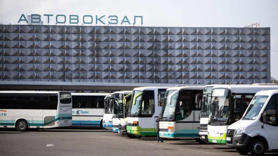 Десятки тысяч россиян устремились в Польшу и Германию. Новые «колбасные туры»?