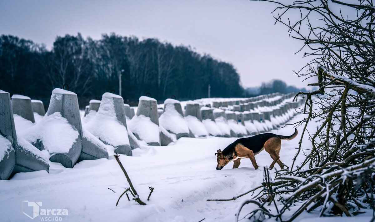 Польша похвалилась новыми укреплениями на границе с Беларусью