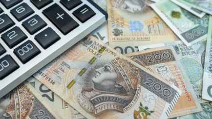 В Польше предложили кардинальное решение для увеличения рождаемости