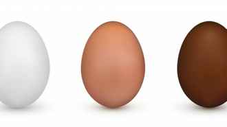 Фермерские против магазинных яиц: Исследования показали, стоит ли переплачивать