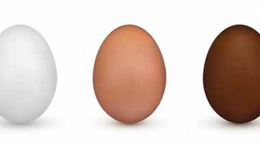 Фермерские против магазинных яиц: Исследования показали, стоит ли переплачивать