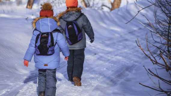 Отменят ли уроки в белорусских школах 2 февраля из-за морозов? Минобразования дало разъяснение