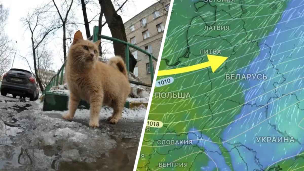 Зима заканчивается? Когда в Беларуси наступит переломный момент к оттепели до +3°С