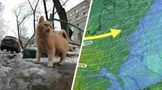 Зима заканчивается? Когда в Беларуси наступит переломный момент к оттепели до +3°С