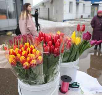 Налог — до 188 рублей. В МНС объяснили, как белорусам законно торговать цветами на 8 марта