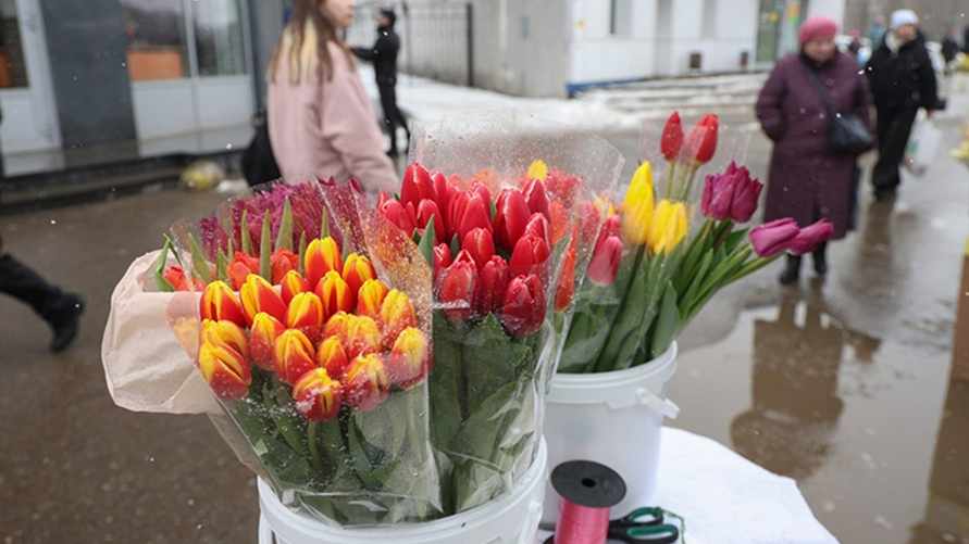 Фото иллюстрационное