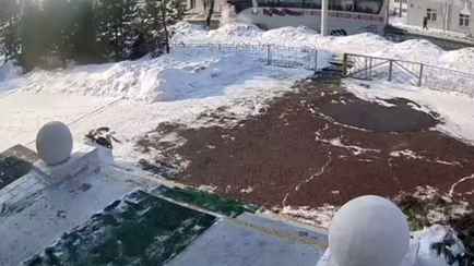 В Могилёве автобус с 28 пассажирами врезался в дерево