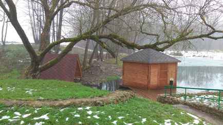 В Беларуси насчитали 1311 родников. Найти можно по обновлённой карте