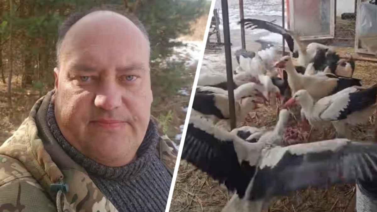 «Дом Брестского аиста» объявил о закрытии - «До последнего боролся»