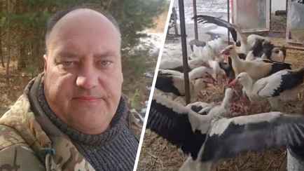 «Дом Брестского аиста» объявил о закрытии — «До последнего боролся»