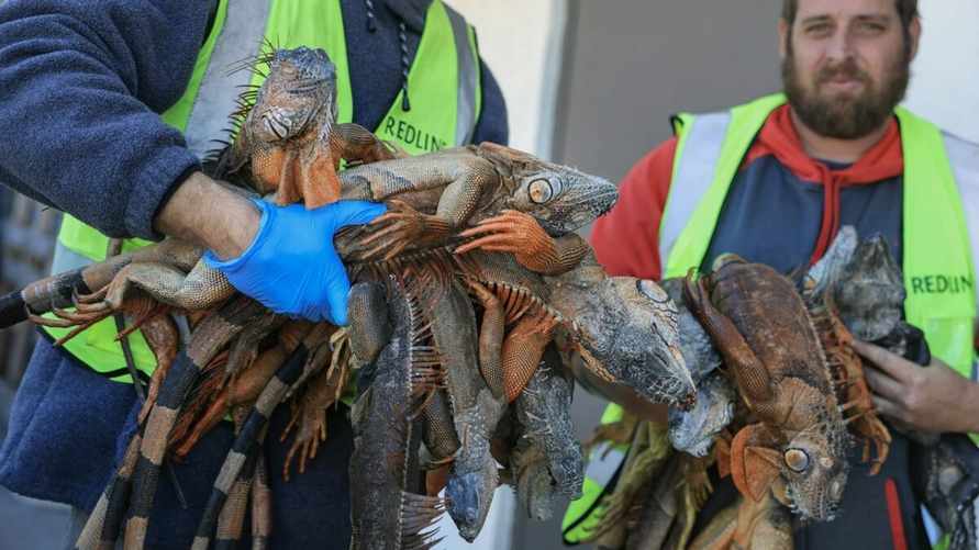 Фото: Getty Images