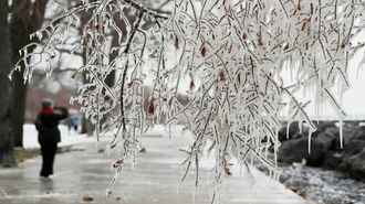 До -28°С. Белгидромет предупредил об усилении морозов