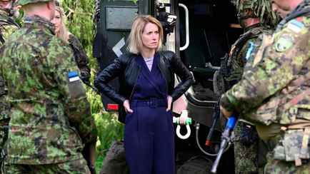 ЕС составил свой список уступок, которых потребует от России в рамках мирных переговоров с Украиной