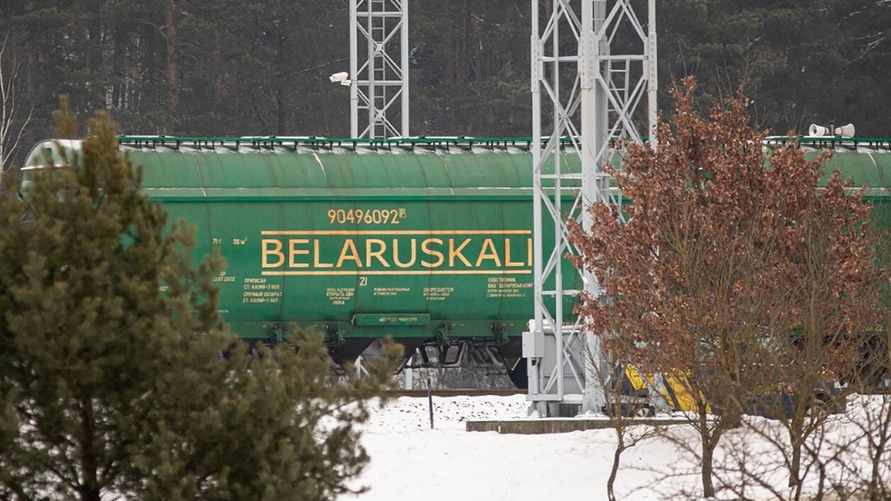 Фото иллюстрационное: LRT.lt