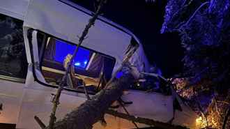 Под Вилейкой маршрутка влетела в поваленное дерево – двое в больнице