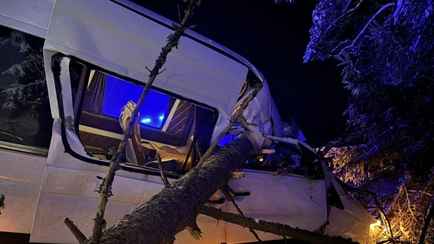 Под Вилейкой маршрутка влетела в поваленное дерево – двое в больнице