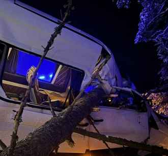 Под Вилейкой маршрутка влетела в поваленное дерево – двое в больнице