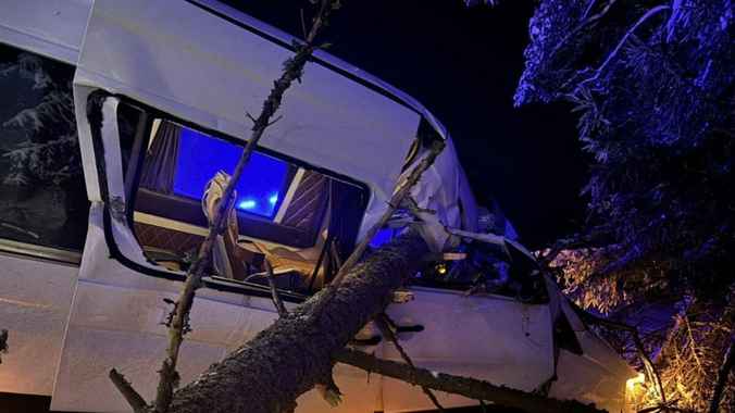 Под Вилейкой маршрутка влетела в поваленное дерево – двое в больнице