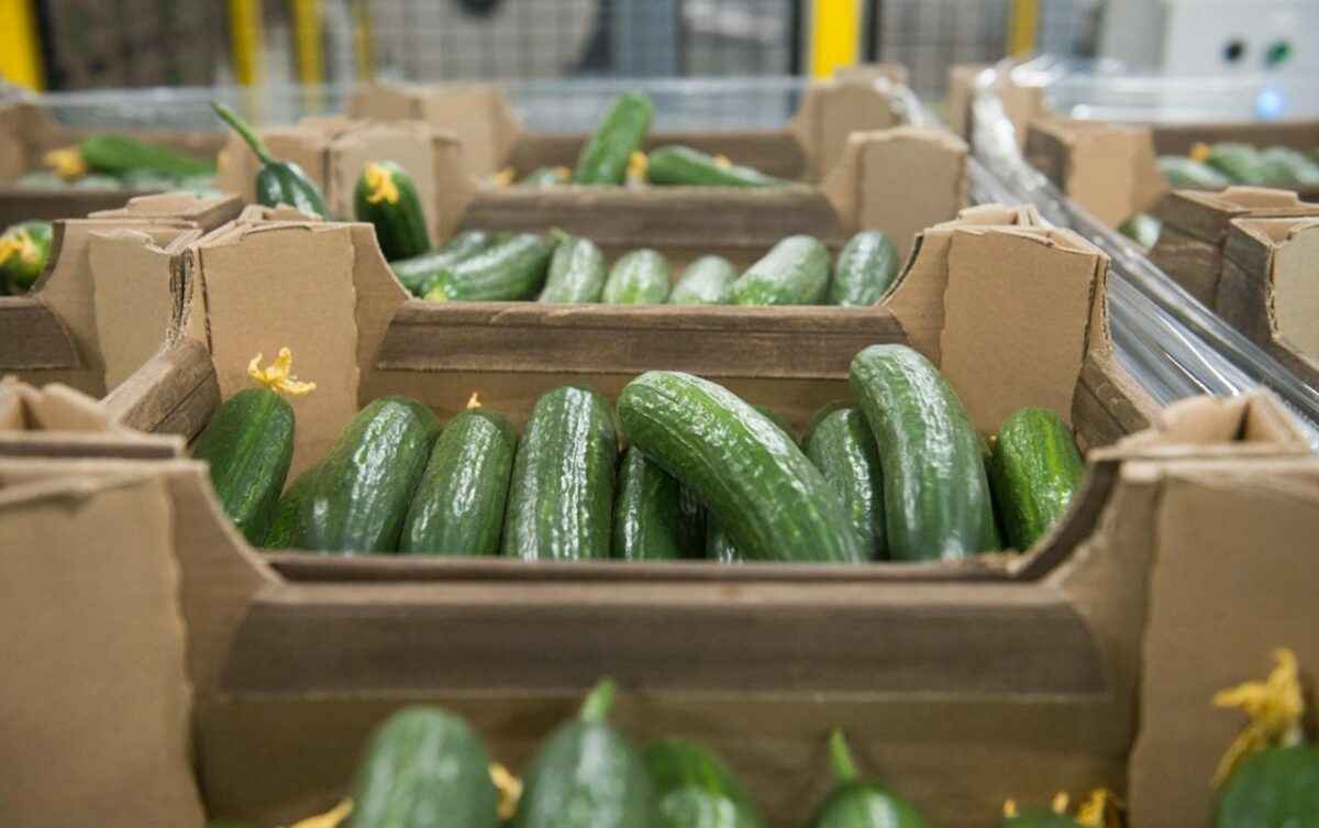 Фото иллюстрационное: e1.ru