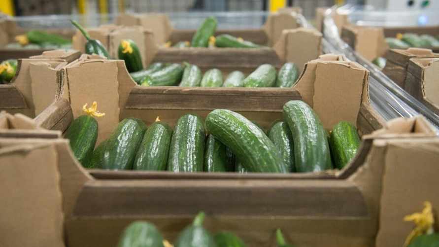 Фото иллюстрационное: e1.ru